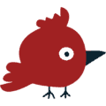 Bird Graphic 3
